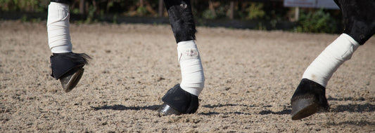 Horse Bandaging Techniques for Exercise, Stabling and Wounds