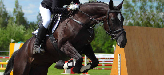 Electrolytes for Horses