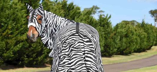 How does the colour of a horse rug affect insects?