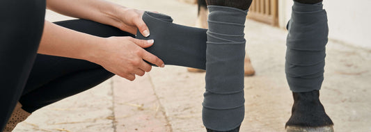 Types of Horse Bandages & When to Use Them