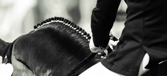 Show Horse Grooming Tips & Advice