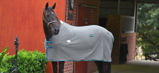 Using Under Rugs – Wool Or Cottons?