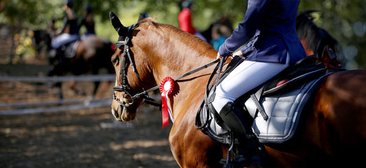 Horse Show Rugs For Show Preparation