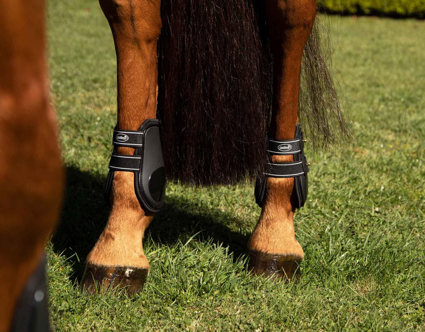 Caribu Fetlock Horse Boots with Stud Fixings