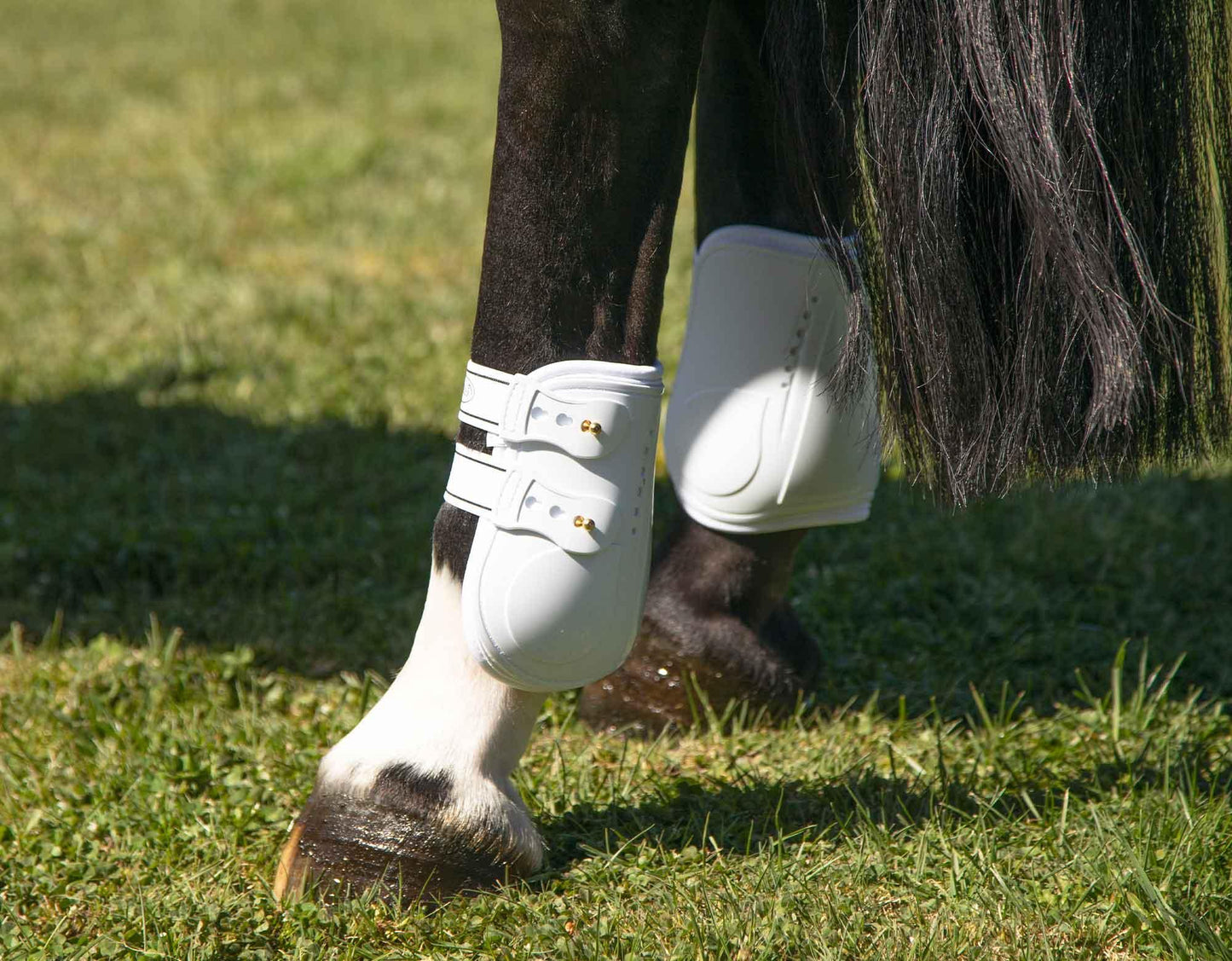 Caribu Fetlock Horse Boots with Stud Fixings