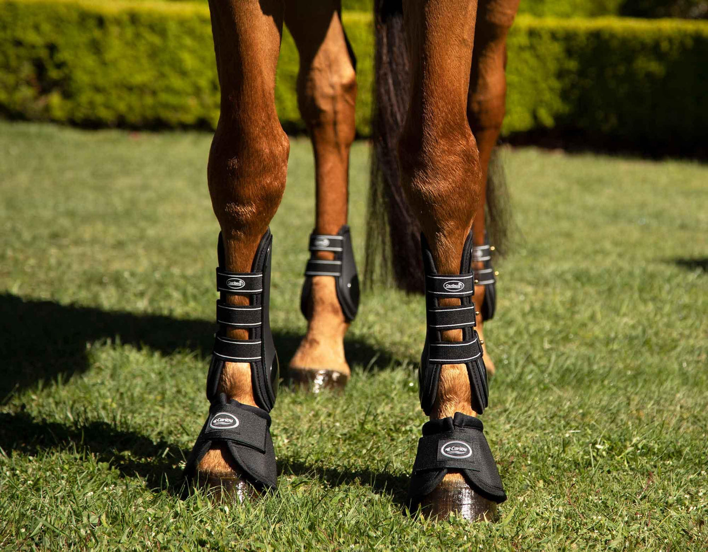 Caribu Fetlock Horse Boots with Stud Fixings