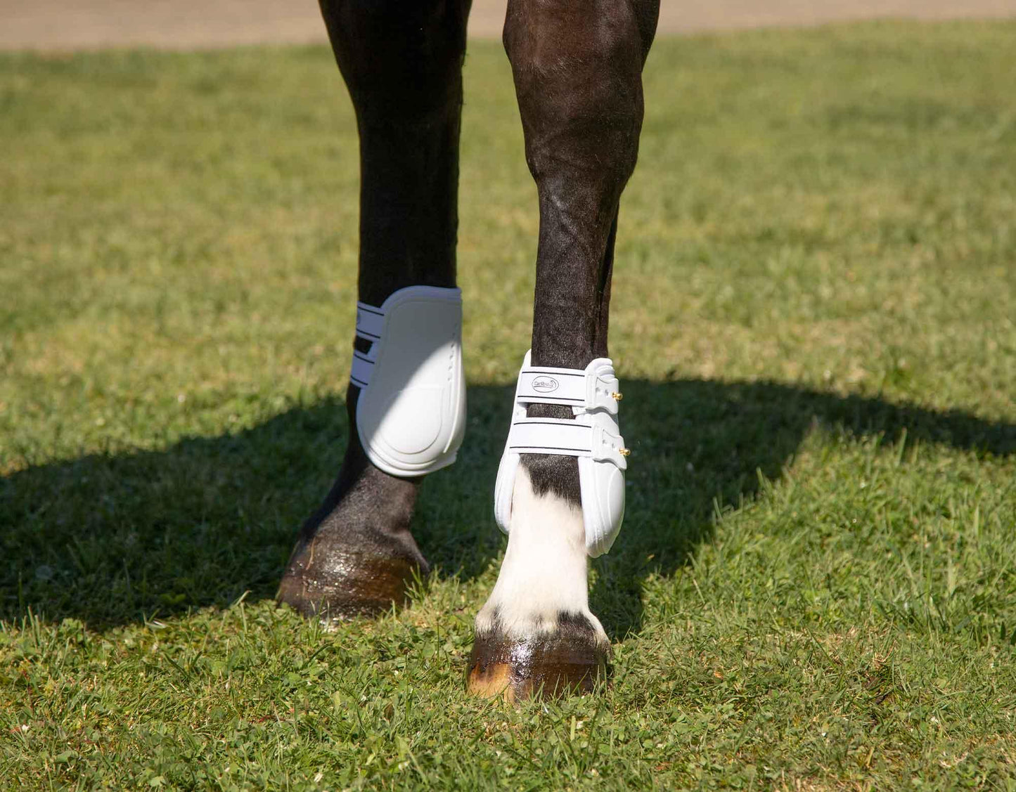 Caribu Fetlock Horse Boots with Stud Fixings