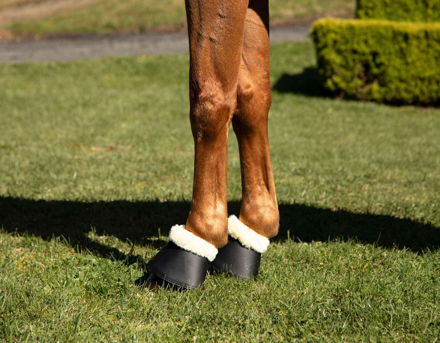 Caribu Fleece-Lined Bell Horse Boots