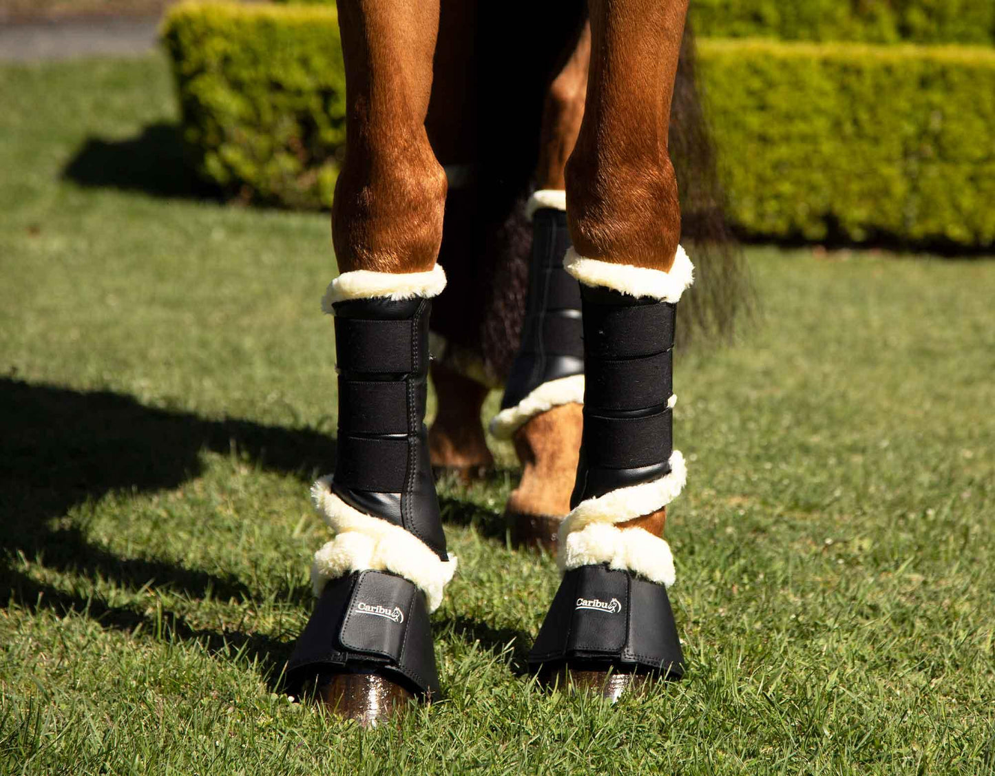 Caribu Fleece-Lined Bell Horse Boots