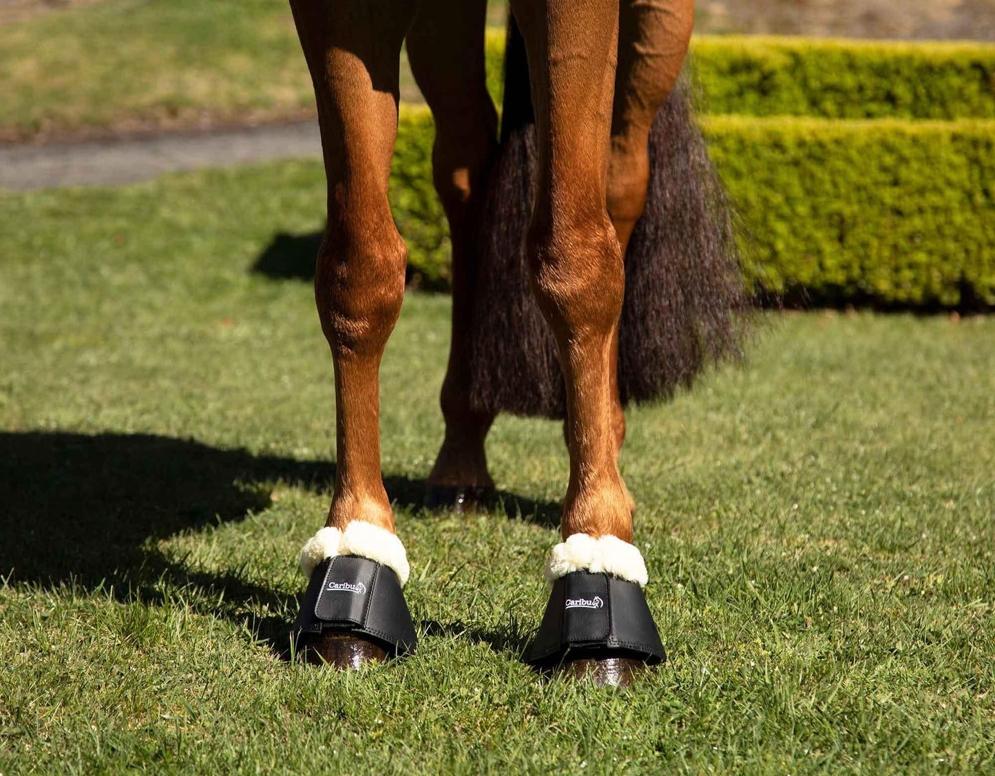 Caribu Fleece-Lined Bell Horse Boots