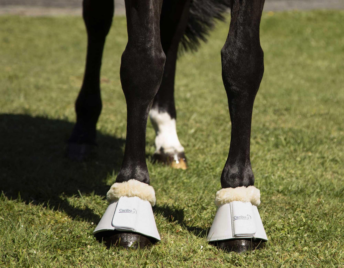 Caribu Fleece-Lined Bell Horse Boots