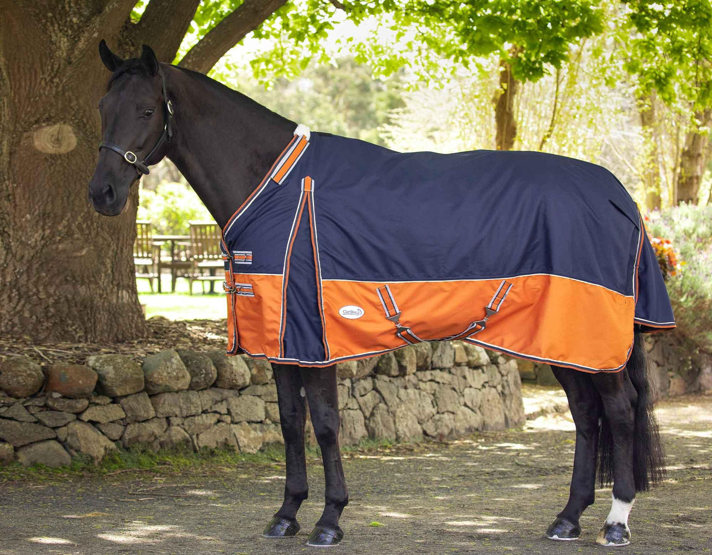 Caribu Alpine XL Gusset Detach-a-Neck Horse Rug 200g Navy Kumquat