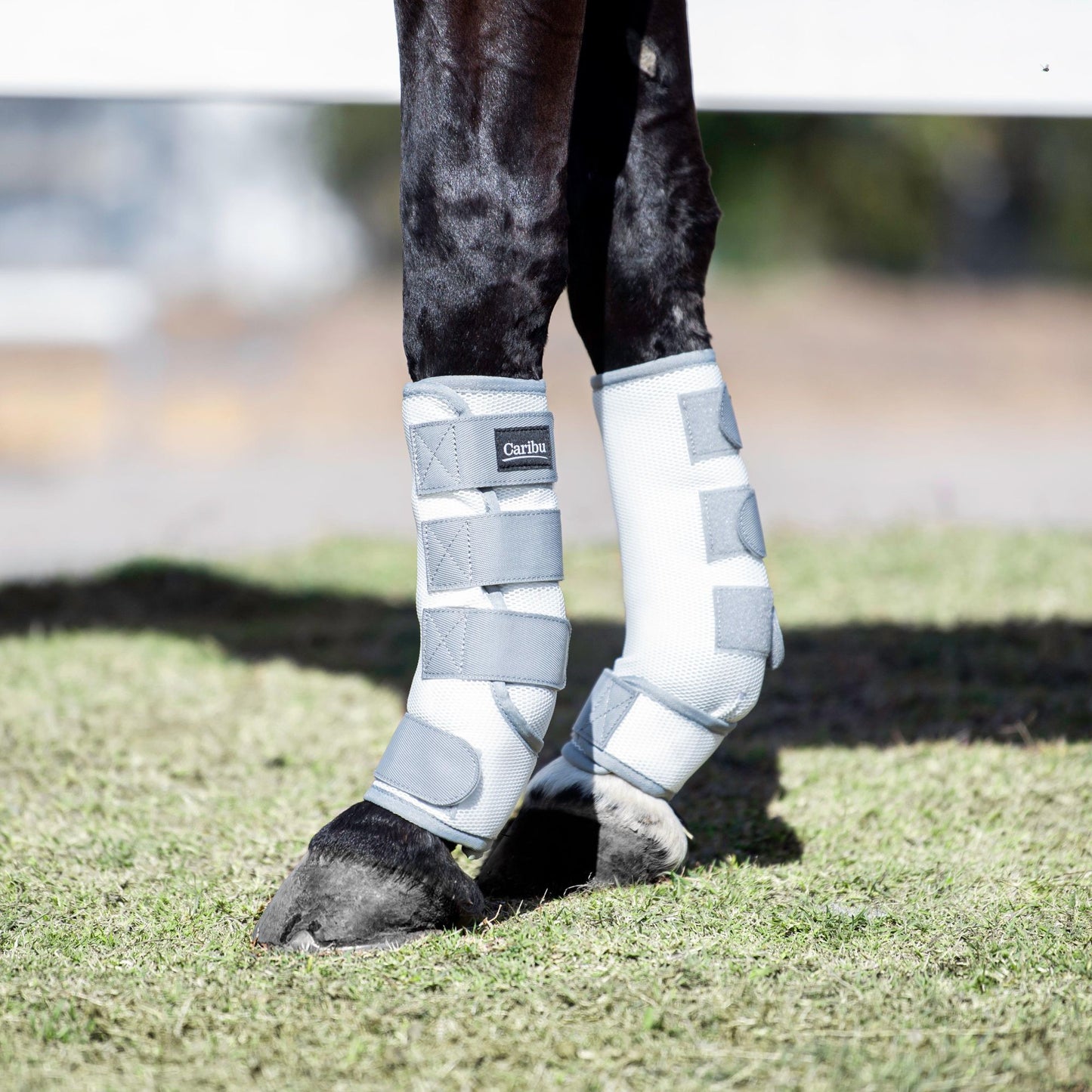 Caribu Deluxe Mesh Fly Horse Boots