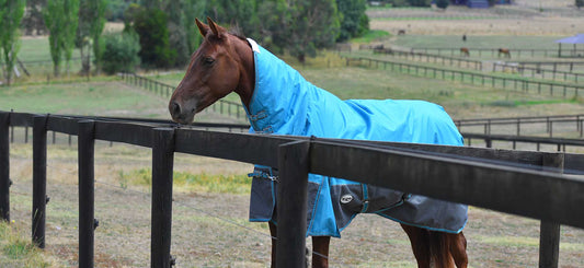 Avoid A Winter Coat - When Should I Start Rugging My Horse?