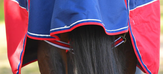 Fitting my horse rug leg straps