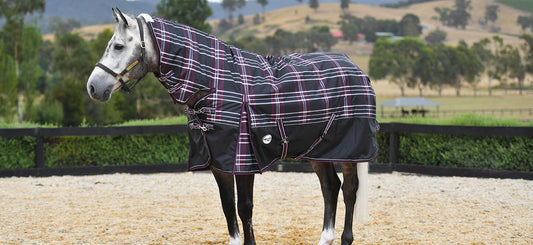 Horse Rug Buying Guide