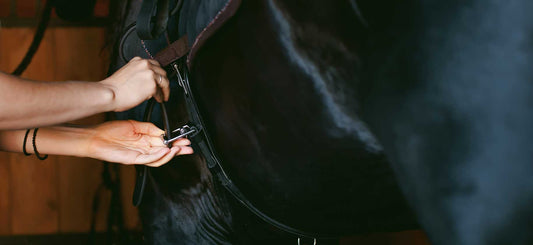 Saddle Fitting Guide