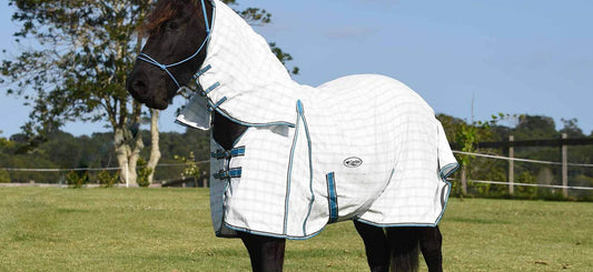 X-Long Gusset Horse Rugs - the solution for broad horses