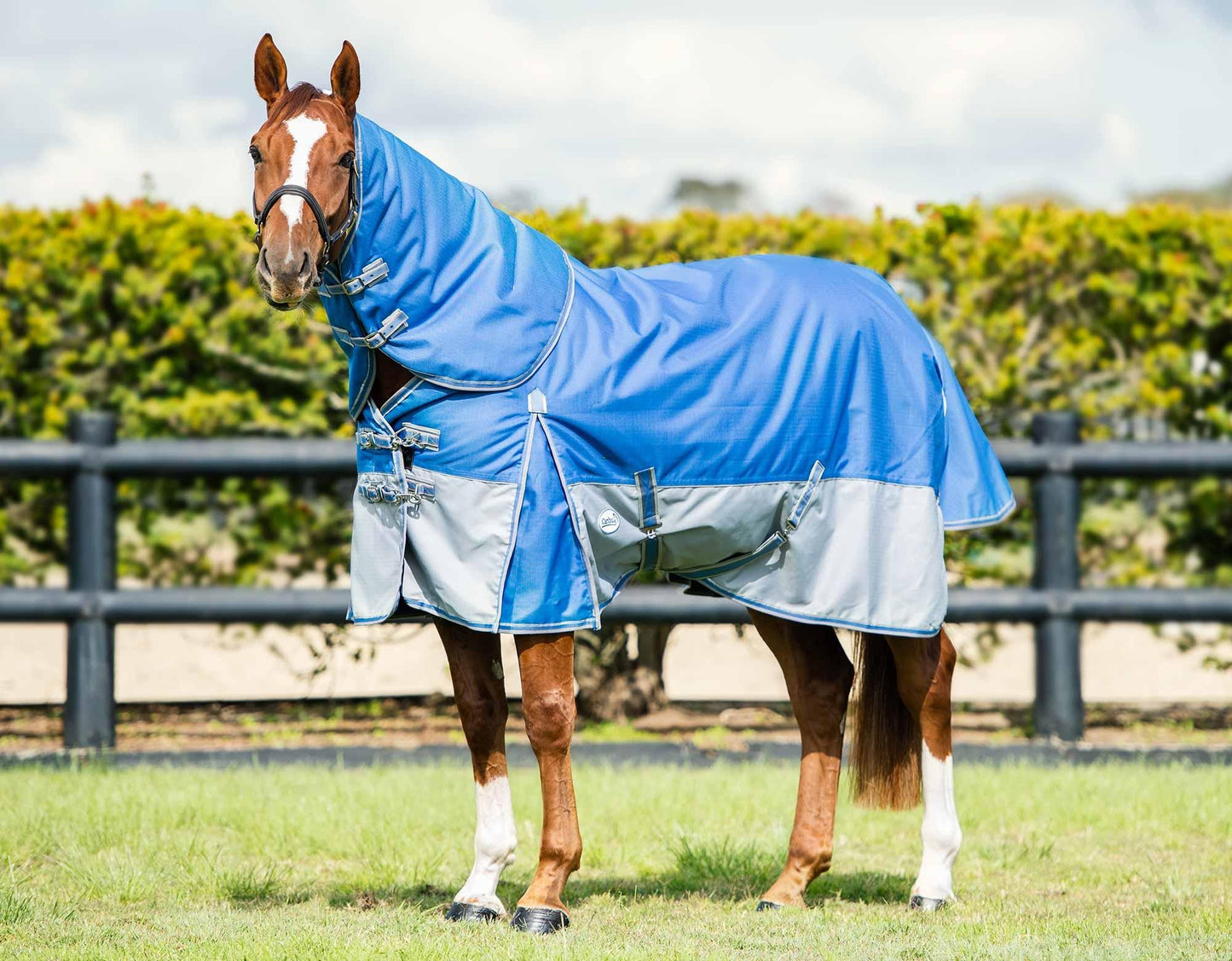 Caribu Alpine Detach-a-Neck Horse Rug 250g