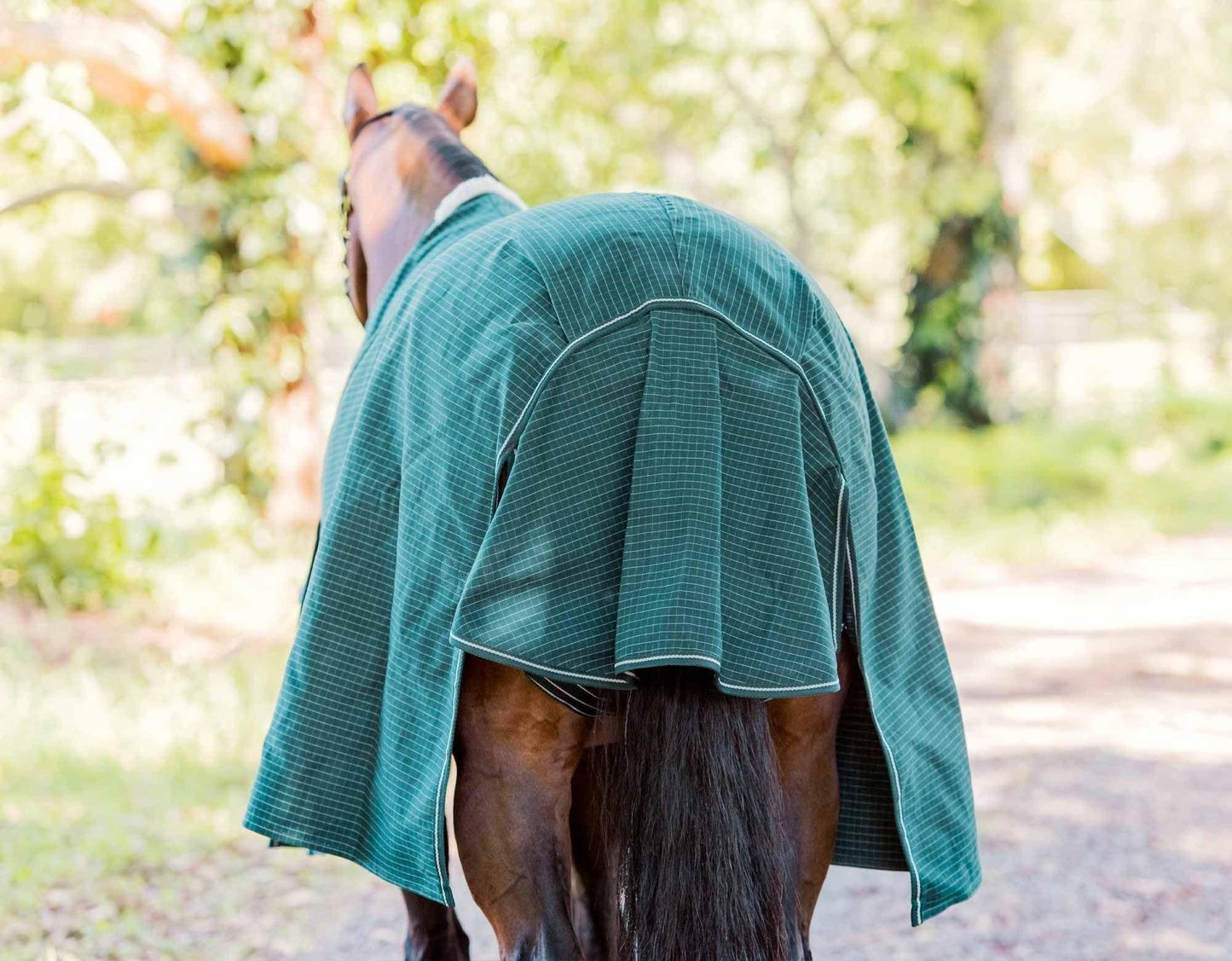 Blaze Lined Canvas Horse Rug 20oz