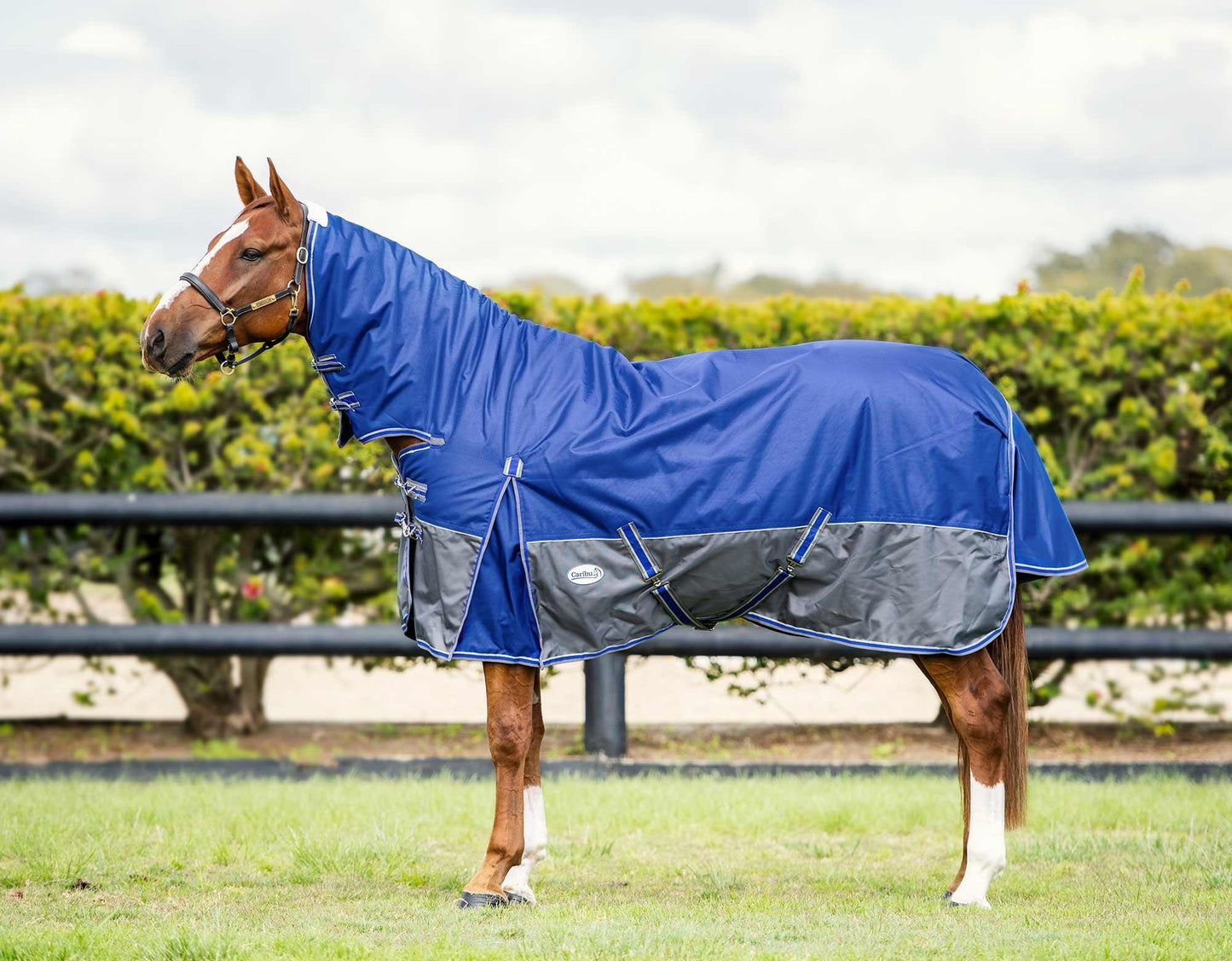 Clearance Caribu Colorado Combo Horse Rug 300g