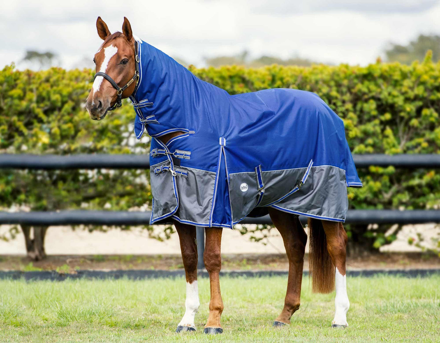 Caribu Colorado Combo Horse Rug 300g