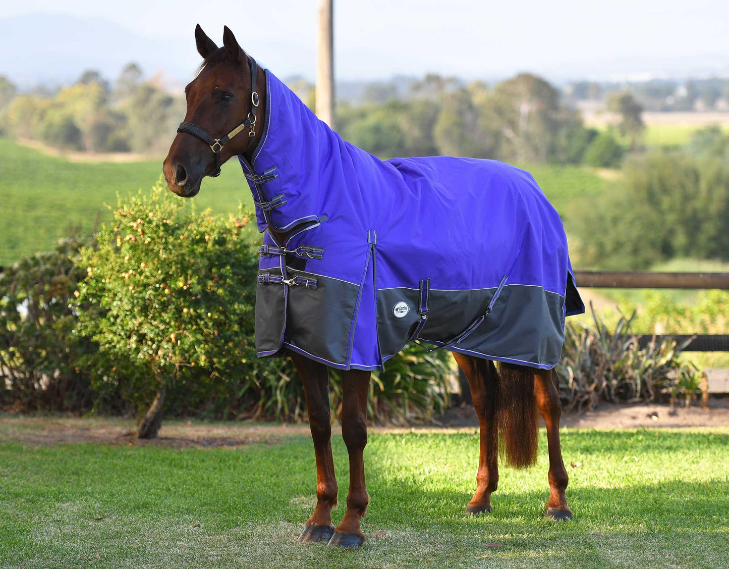 Eclipse Rainsheet Combo Horse Rug
