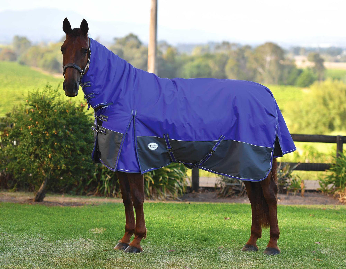 Eclipse Rainsheet Combo Horse Rug