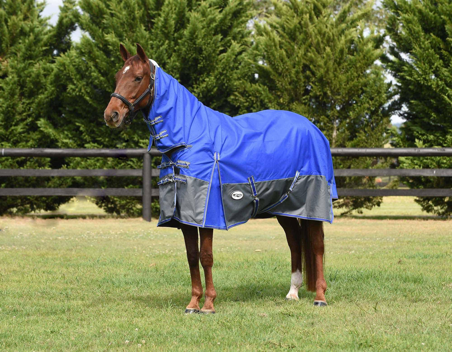 Eclipse Rainsheet Combo Horse Rug