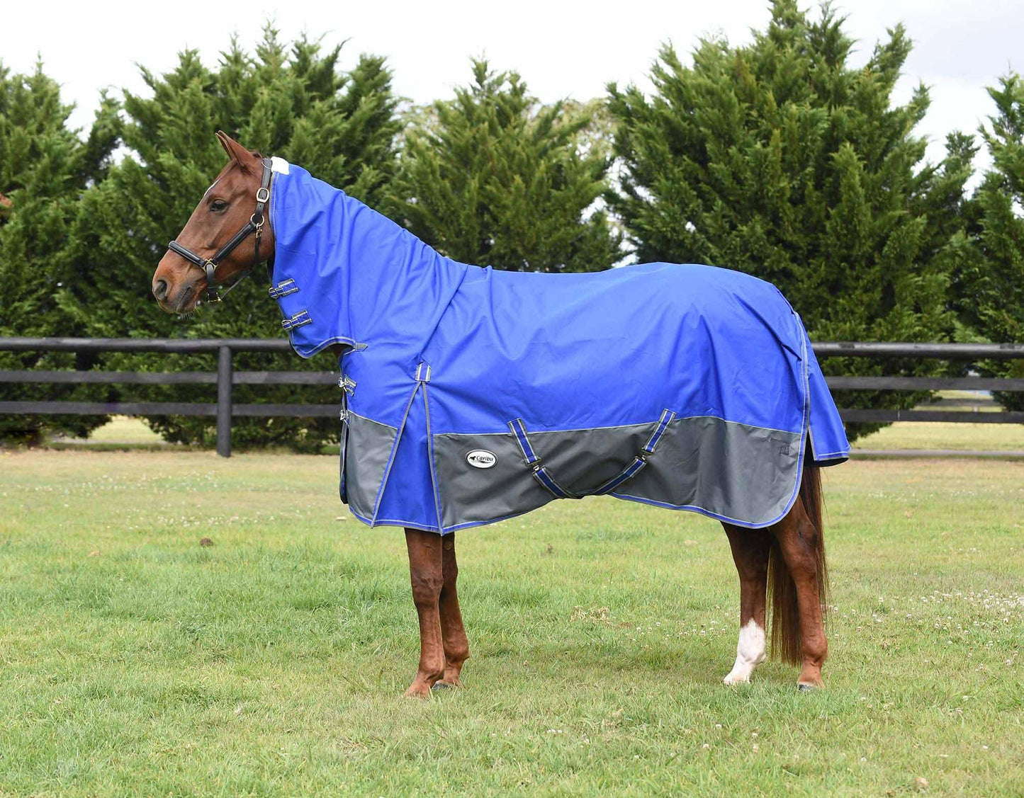 Eclipse Rainsheet Combo Horse Rug
