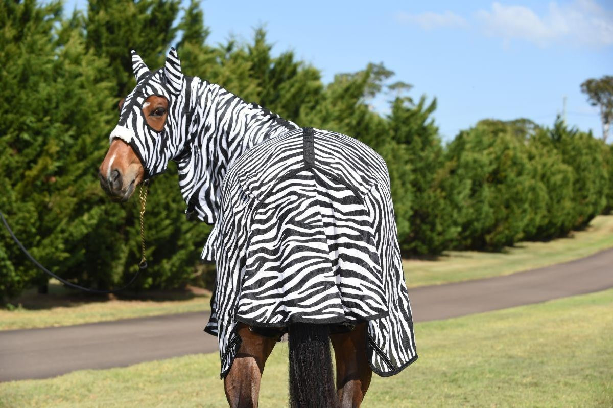 Caribu Zebra Euro Mesh Hooded Combo Horse Rug