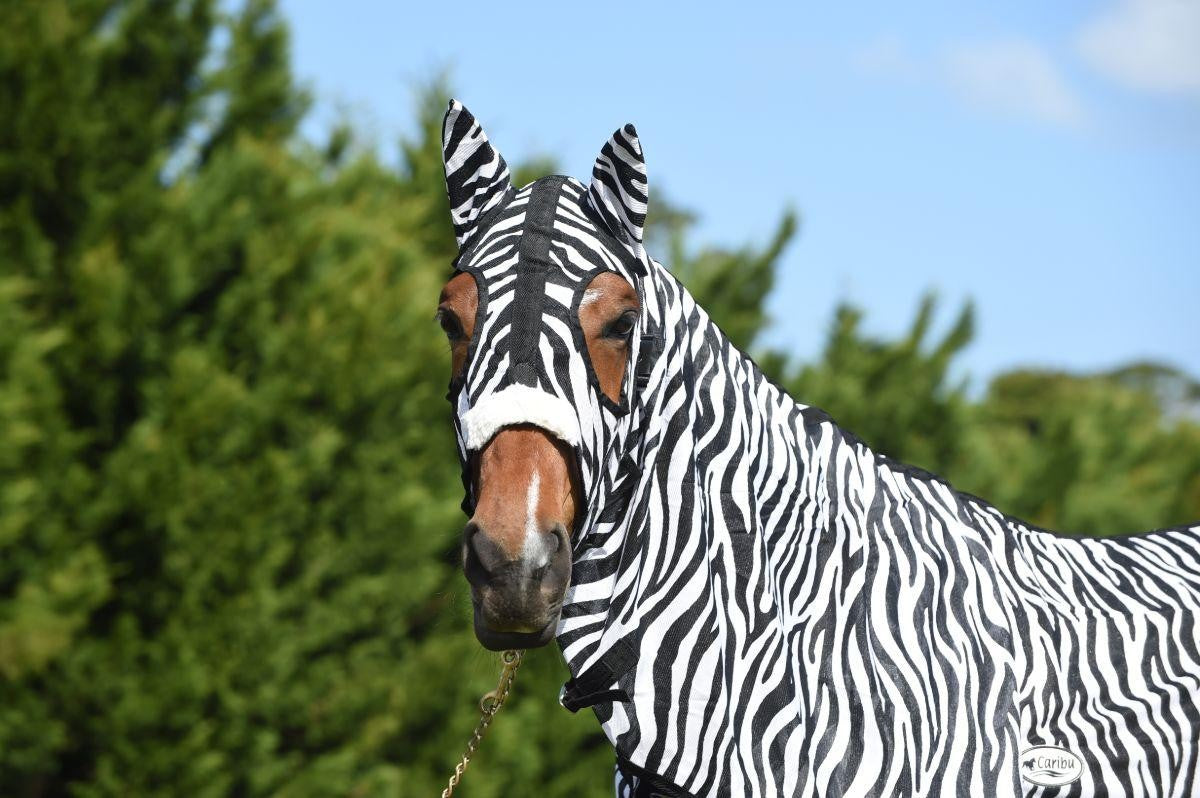 Caribu Zebra Euro Mesh Hooded Combo Horse Rug