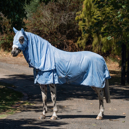 Caribu Euro Mesh Hooded Combo Horse Rug
