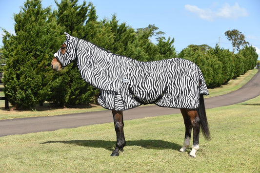 Caribu Zebra Euro Mesh Hooded Combo Horse Rug