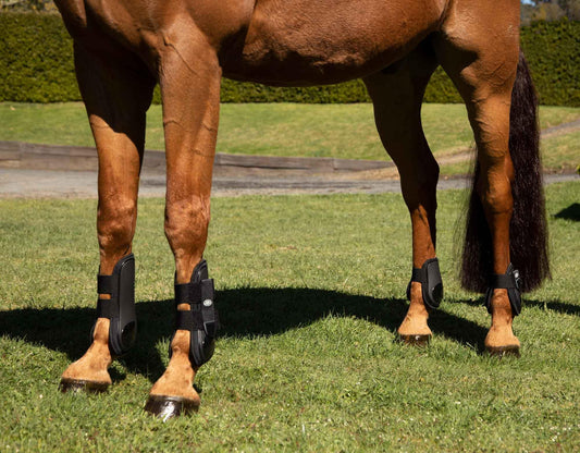 Fetlock Boot with Hook & Loop Fixings