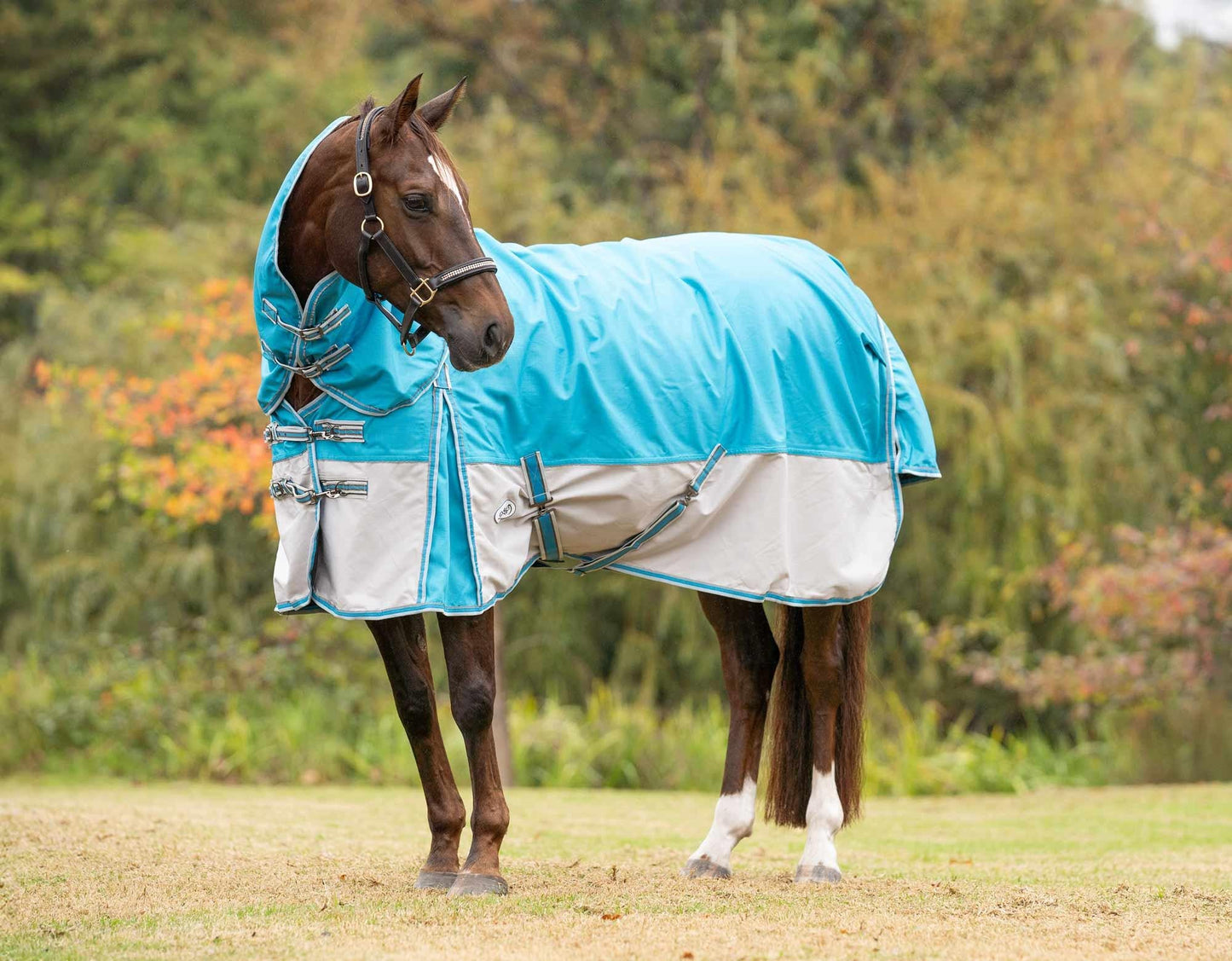 Clearance Caribu Flinders Detach-a-Neck Rainsheet 1200D