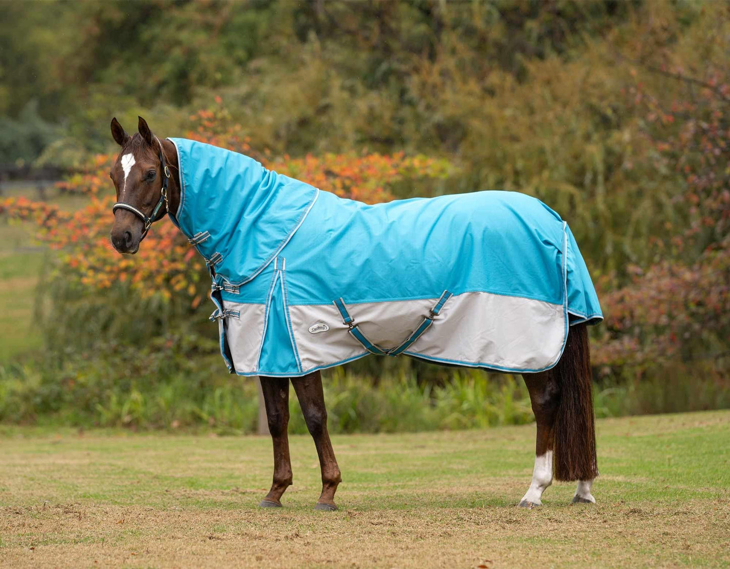 Clearance Caribu Flinders Detach-a-Neck Rainsheet 1200D