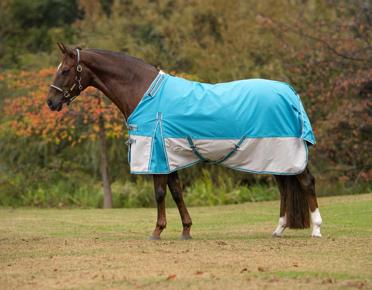 Clearance Caribu Flinders Detach-a-Neck Rainsheet 1200D