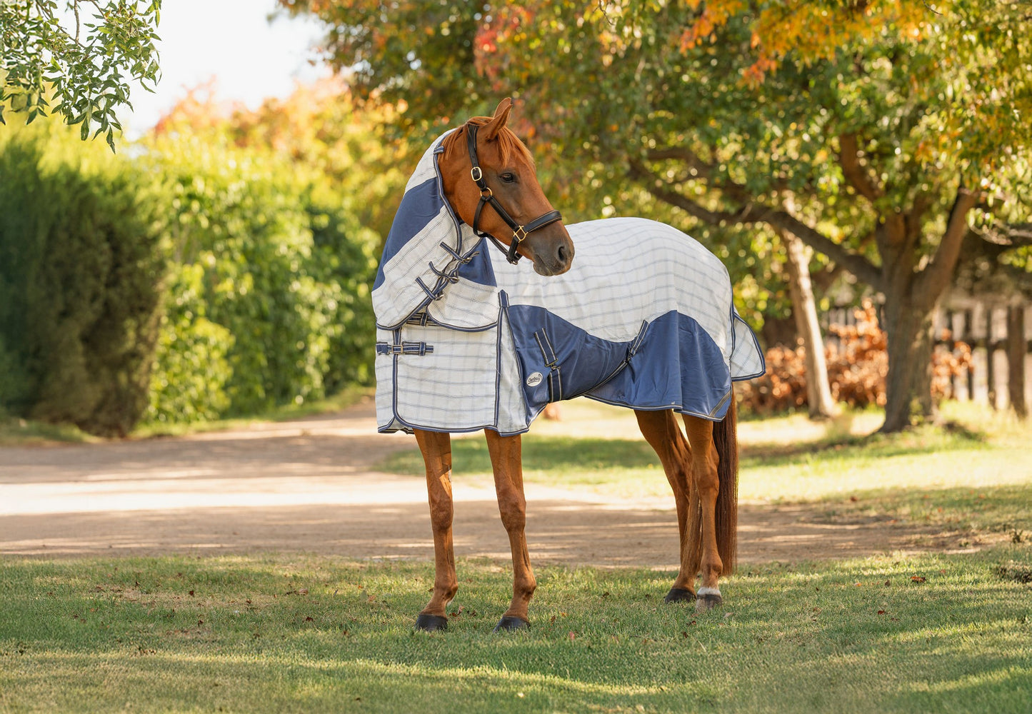 Caribu Atla Hybrid Combo Horse Rug