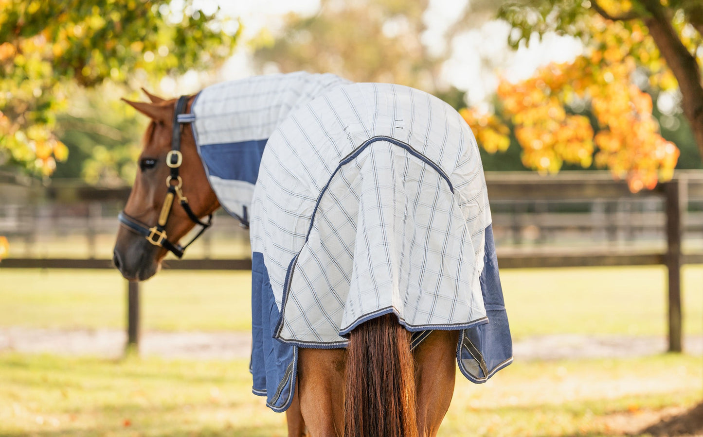 Caribu Atla Hybrid Combo Horse Rug