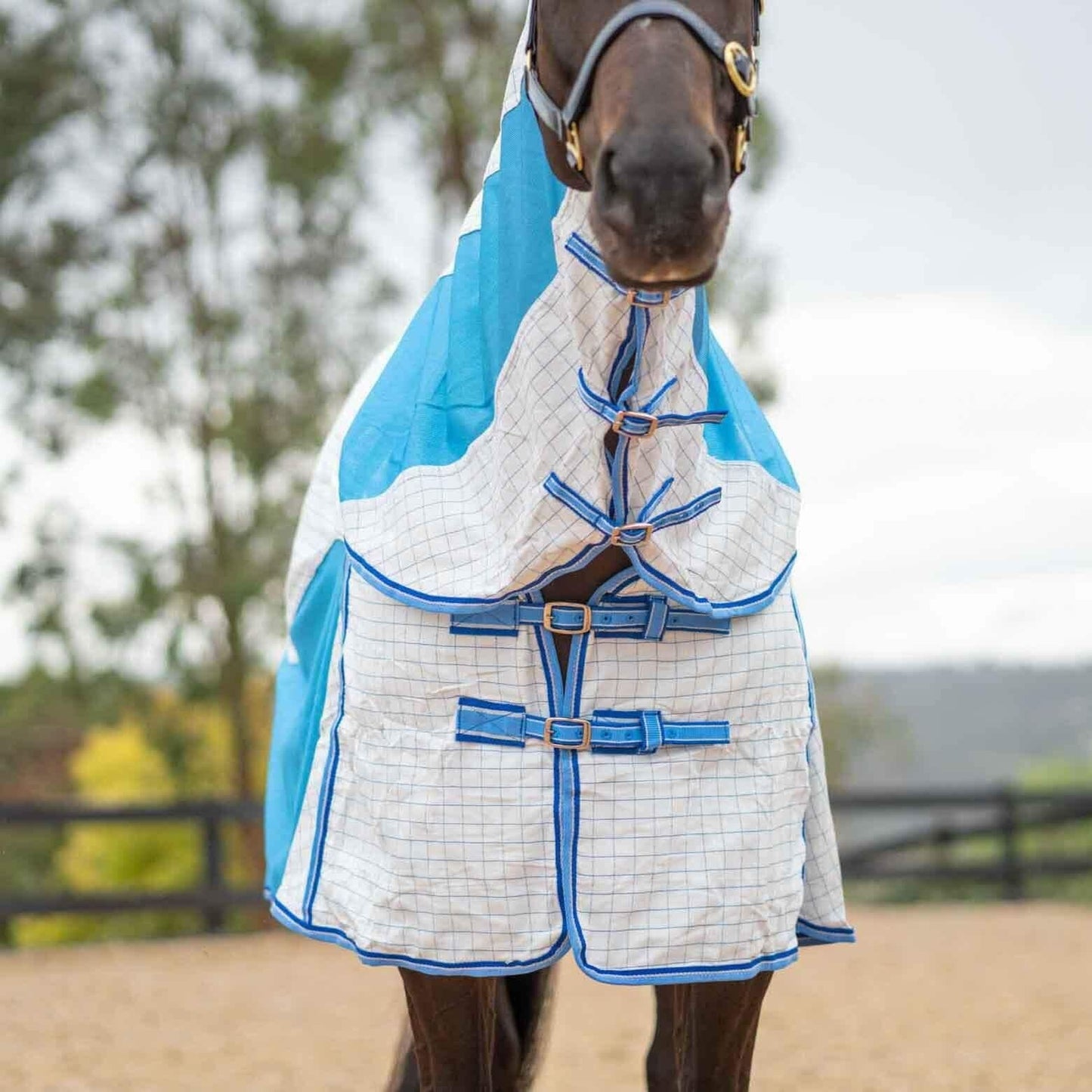 Kingsley Hybrid Combo Horse Rug