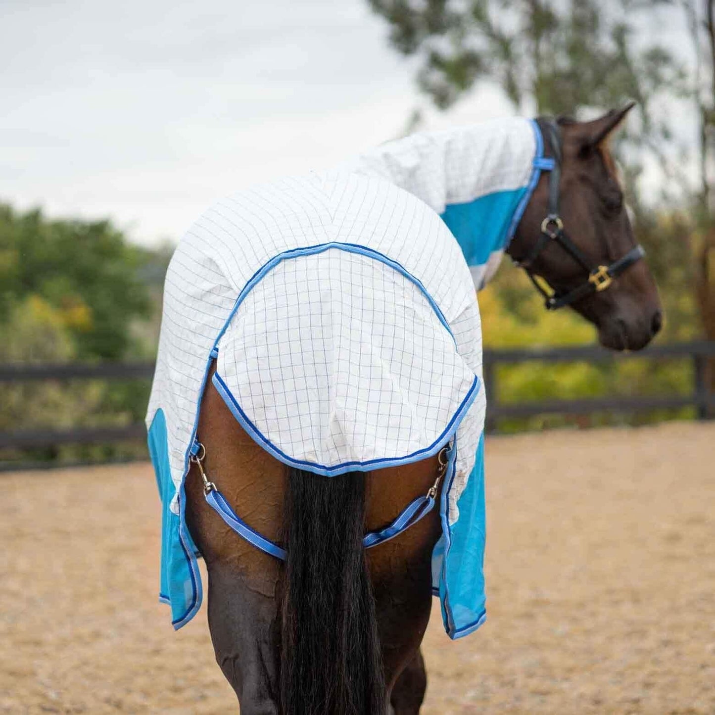 Kingsley Hybrid Combo Horse Rug