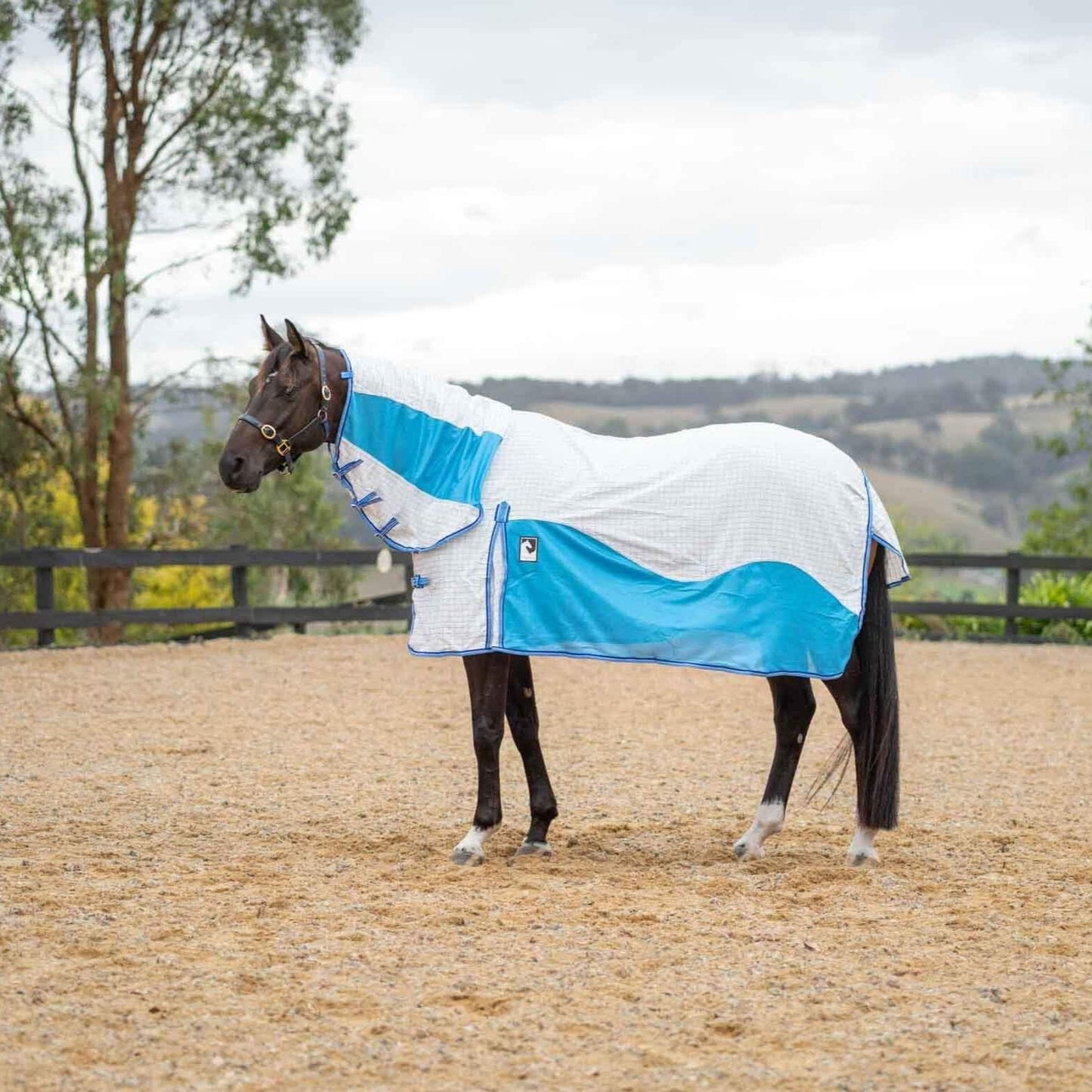 Kingsley Hybrid Combo Horse Rug