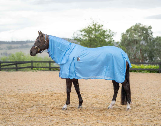 Kingsley Mesh Combo Horse Rug