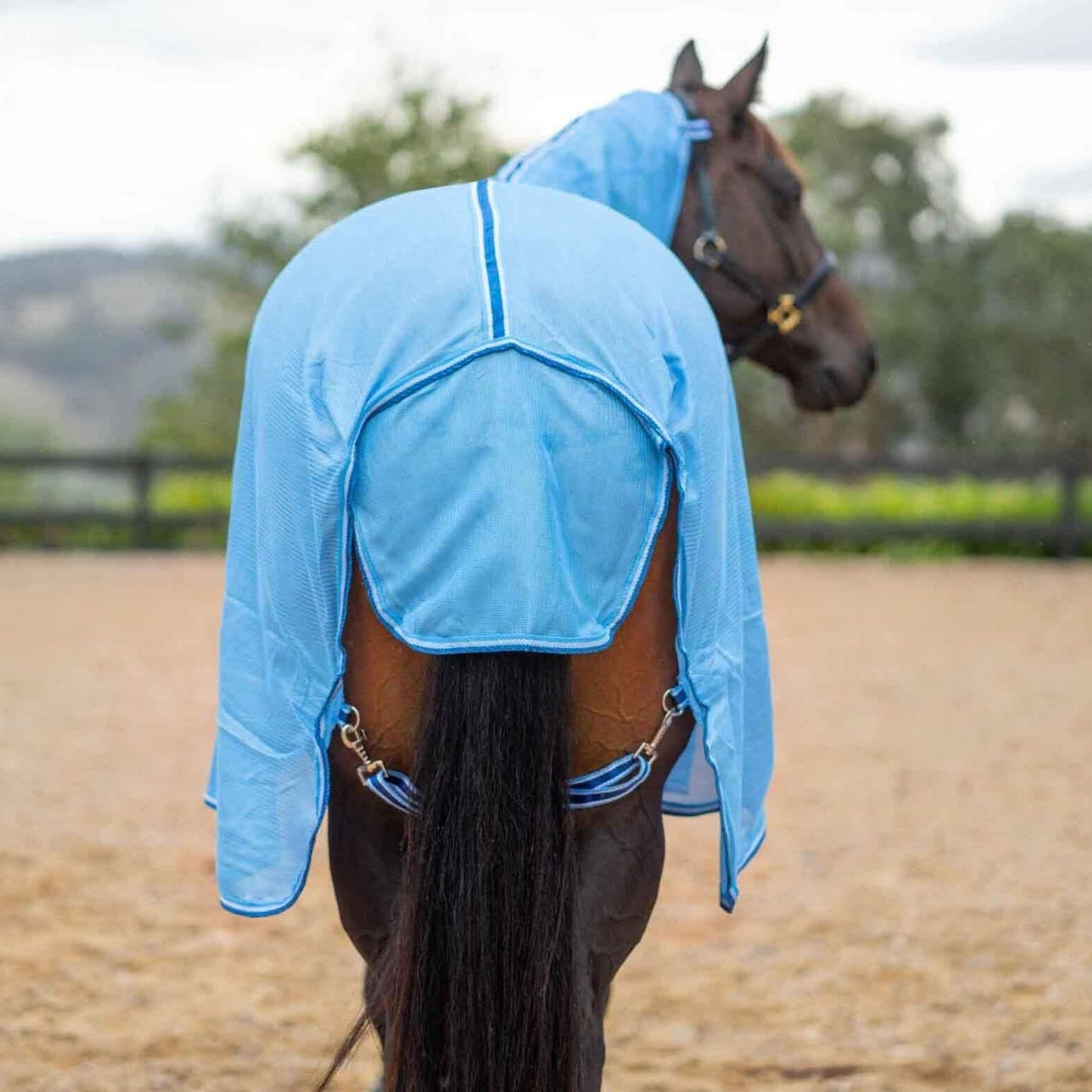 Kingsley Mesh Combo Horse Rug