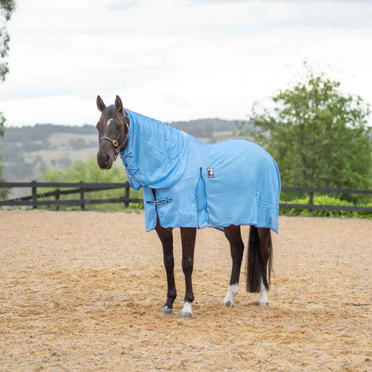 Kingsley Mesh Combo Horse Rug
