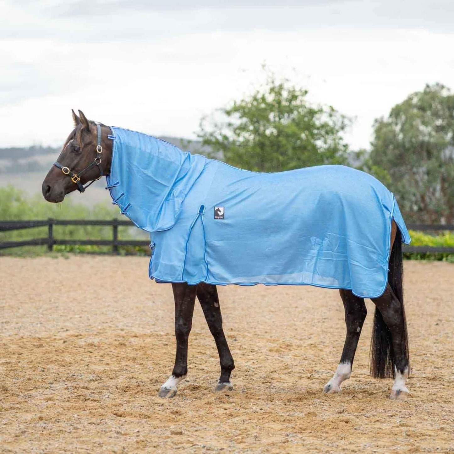 Kingsley Mesh Combo Horse Rug