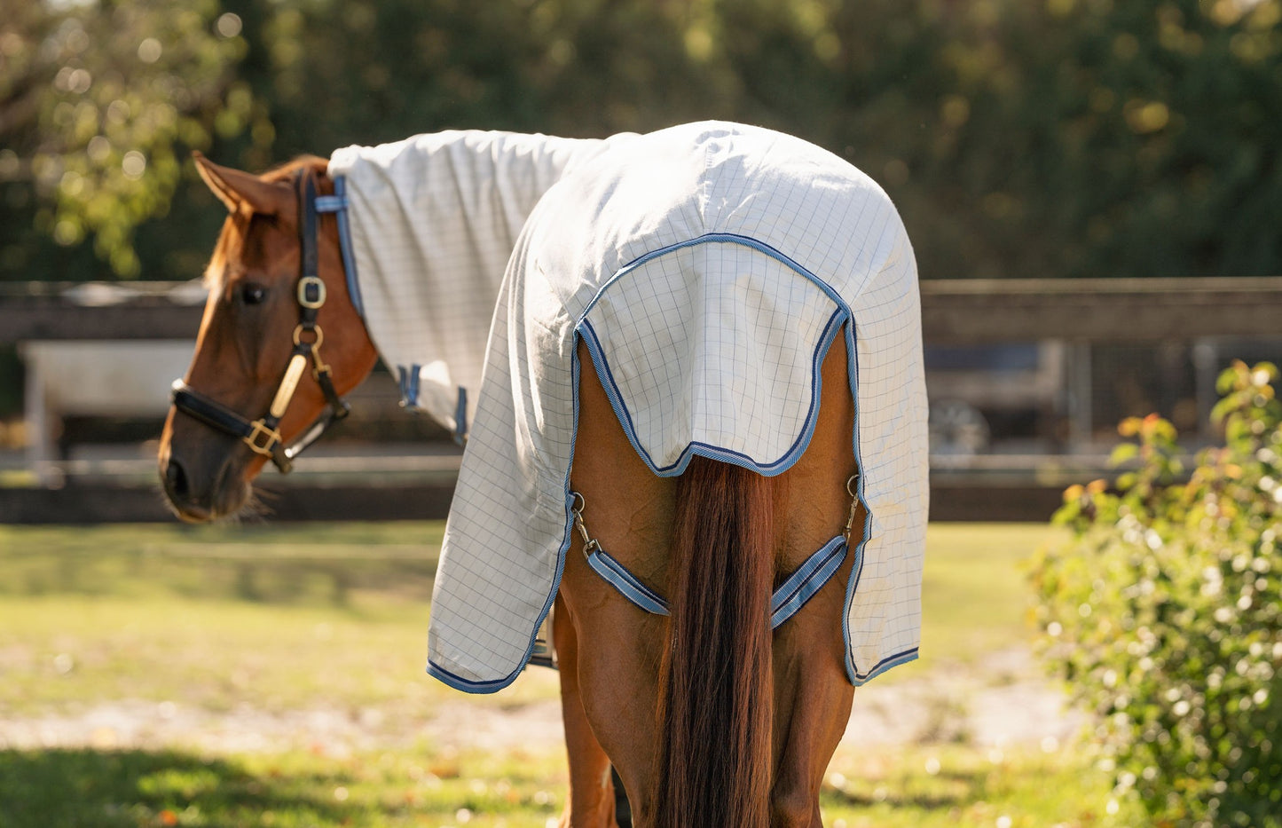 Kingsley Ripstop Combo Horse Rug