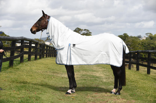 Kingsley Ripstop Combo Horse Rug