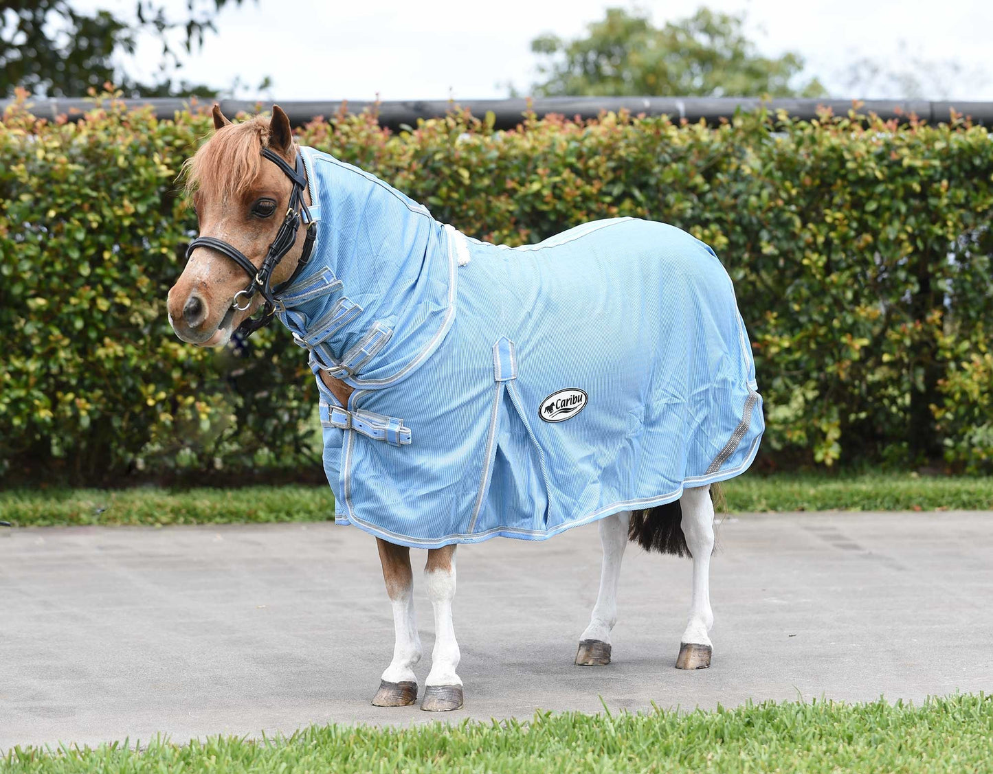 Caribu Mini Euro Mesh Combo Horse Rug